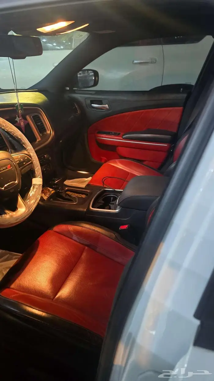 للبيع دوج تشاجر 3