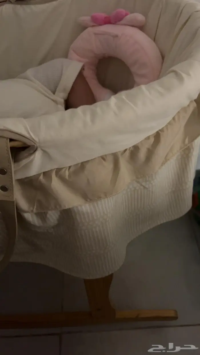 كرسي موسى لون سكري جديد 2