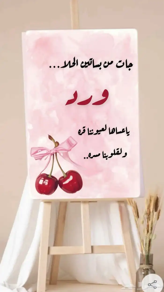 طباعه بنر   استيكر   رول اب 0