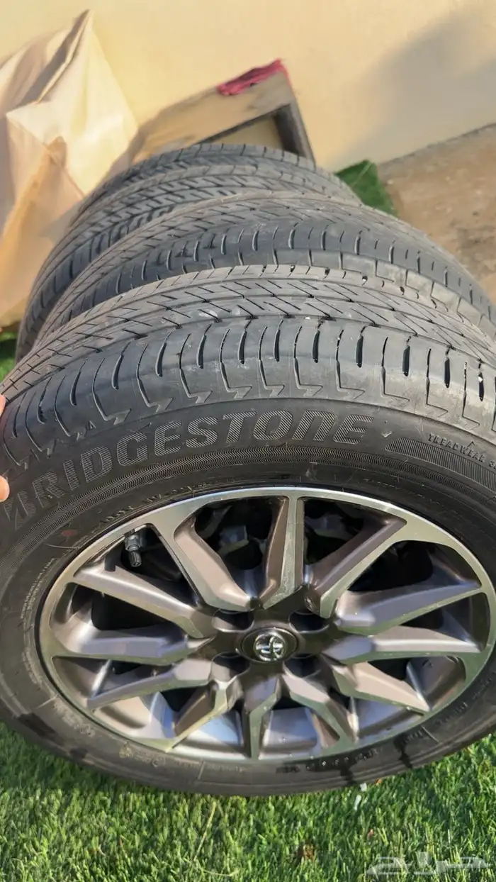 جنوط يارس وفكرات وكاله 2023 5