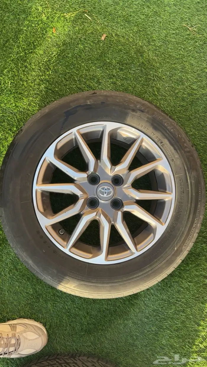 جنوط يارس وفكرات وكاله 2023 7