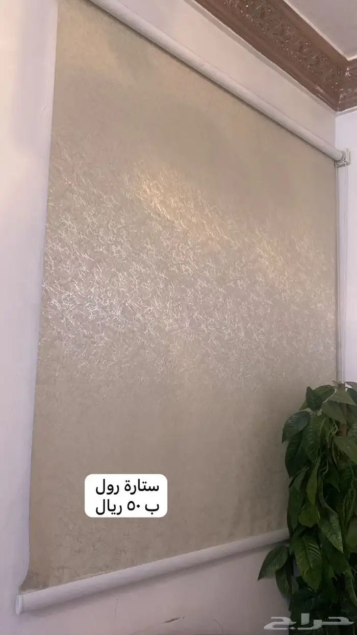 كنبات ونجف والستارة 2