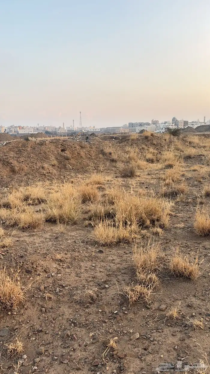 ارض سكنية للبيع 1