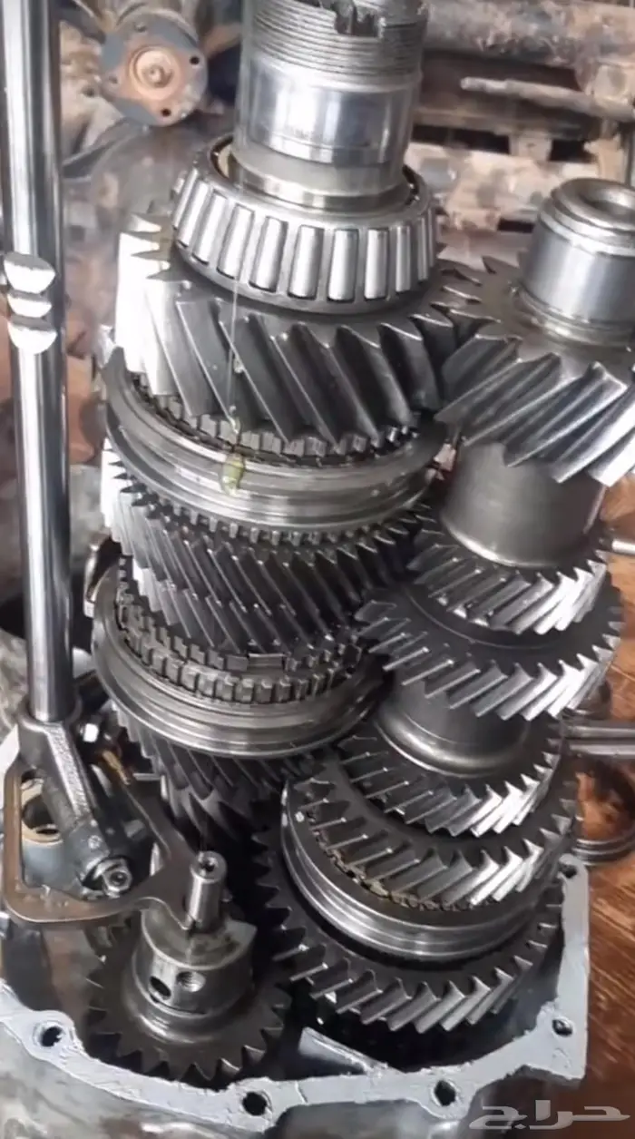 تشليح بريده قيور مستورده وتوضيب 2