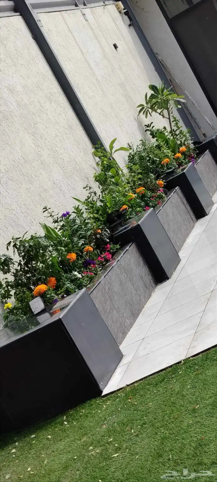 زراعة الورد والأشجار 0