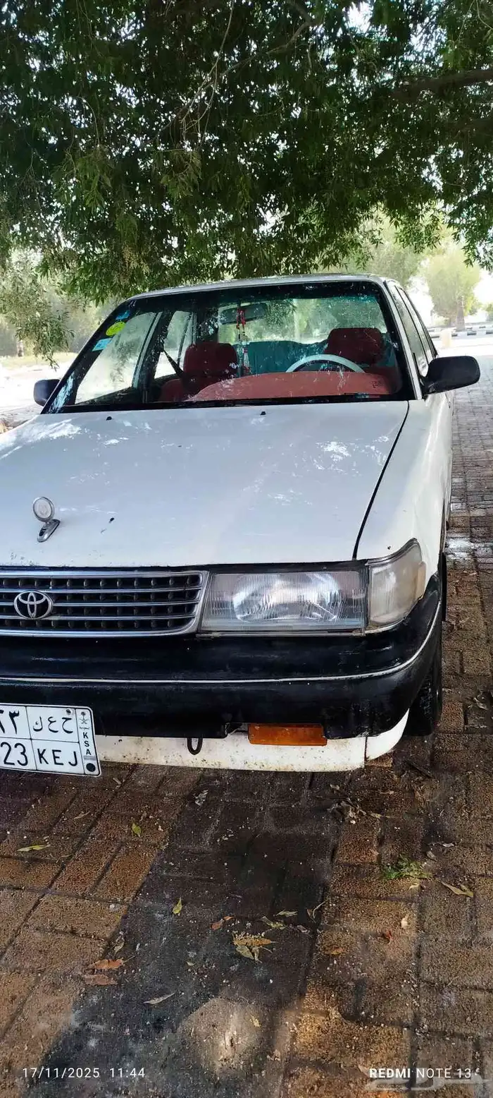 كرسيدا 1994 13