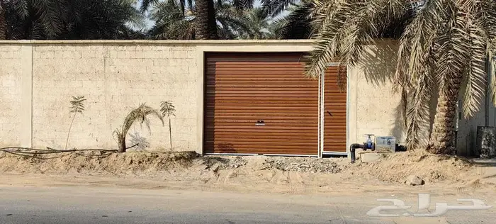 نخل للإيجار وسط قرية البطالية 0