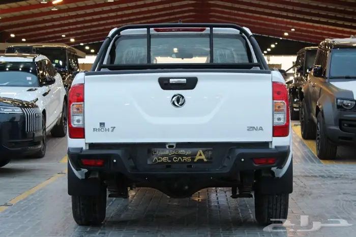 دونج فينغ ريتش 7 2025 ديزل غمارتين 3