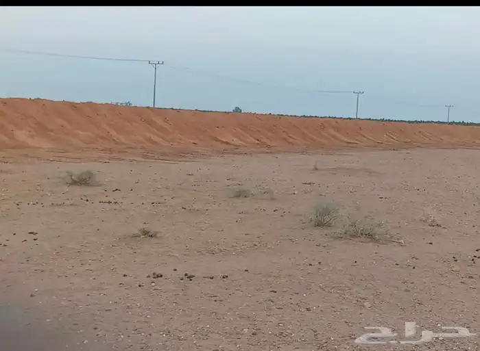 بلدوزر نظيف حديث للايجار 1