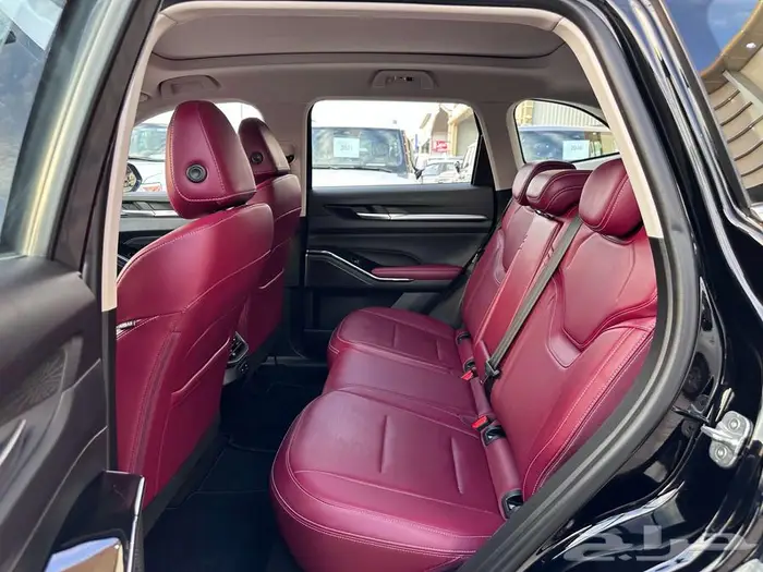 هافال H6 2024 31