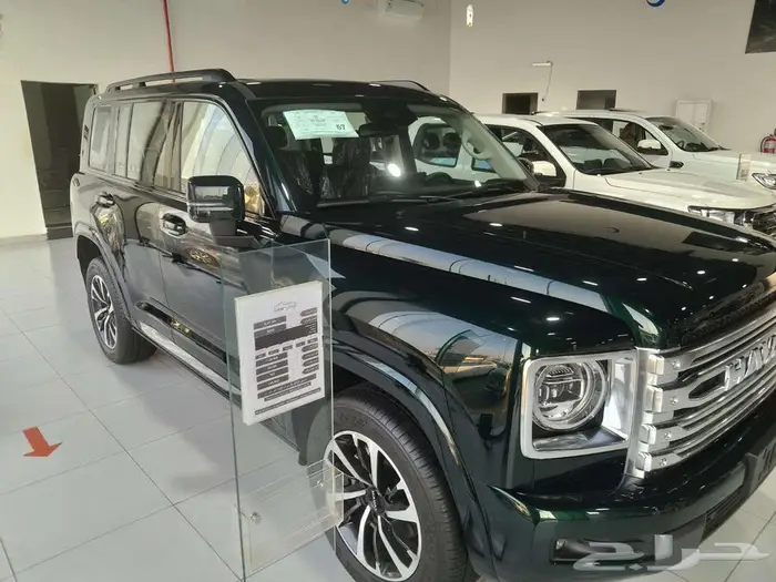 عرض خاص هافالH9 فل ونص فل 2026 6