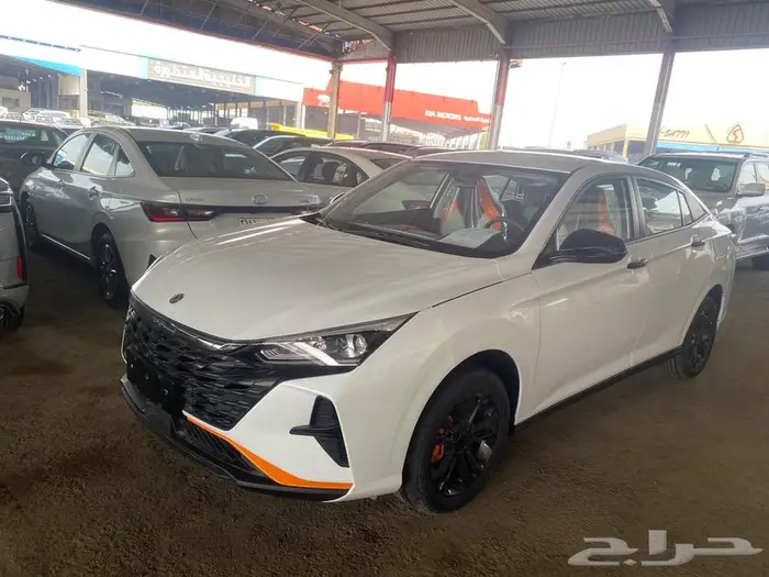 دونج فينج شاين E1 استاندر موديل 25 كاش وتمويل اقل الاسعار 9