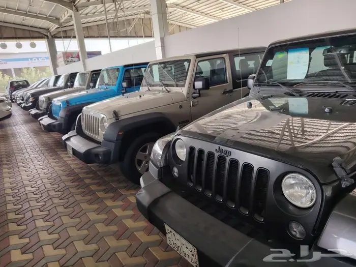 رانجلر باب واحد 2018 0