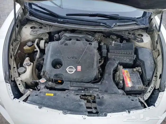 نسيان ماكسيما للبيع 1