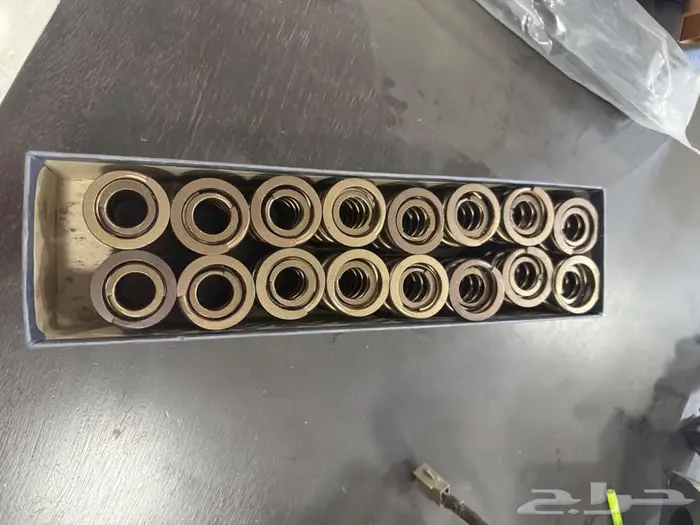 للموستنج القديم 5.0 سبرنقات راي 3