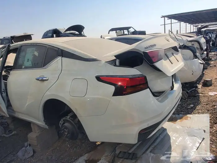 تشليح التيماء 1