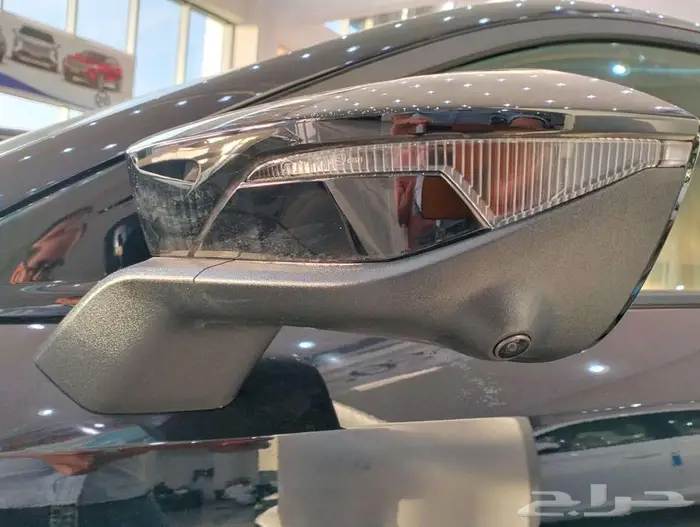 شنجان يو ني في ايليت وسبورت 2026 24