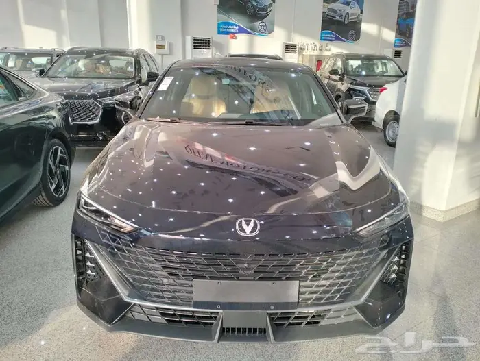 شنجان يو ني في ايليت وسبورت 2026 14