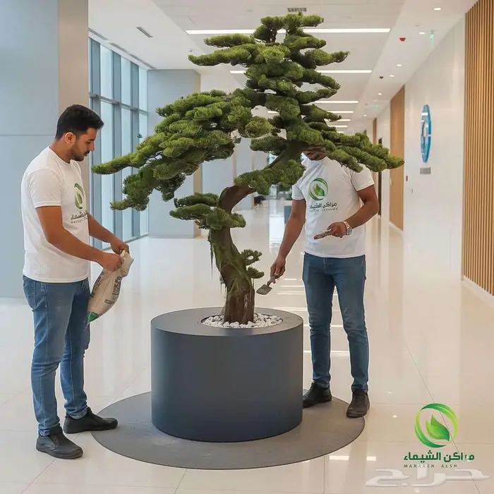 احواض ومراكن زرع جملة بجدة لتنسيق الحدائق المنزلية 27