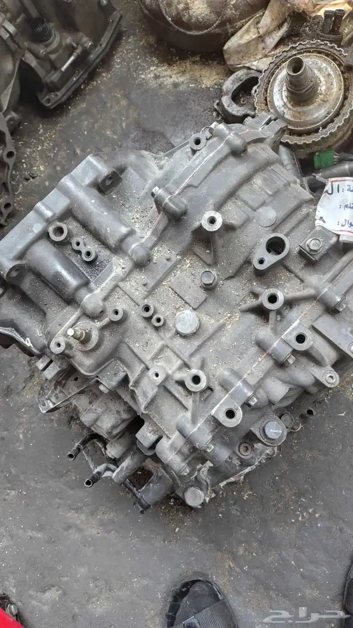 جير اكسنت مجدد 1