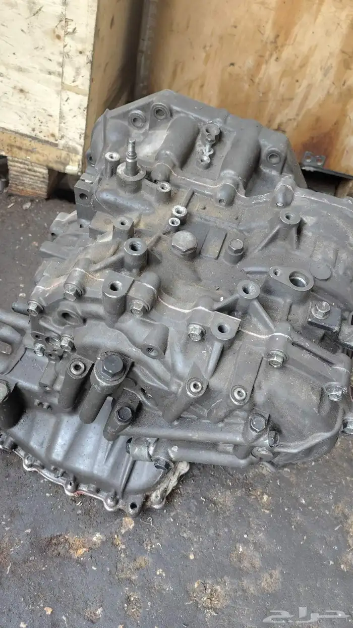 جير اكسنت مجدد 0