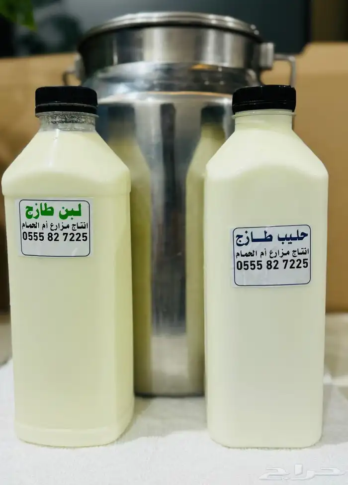 منتجات أبقار طازجه 0