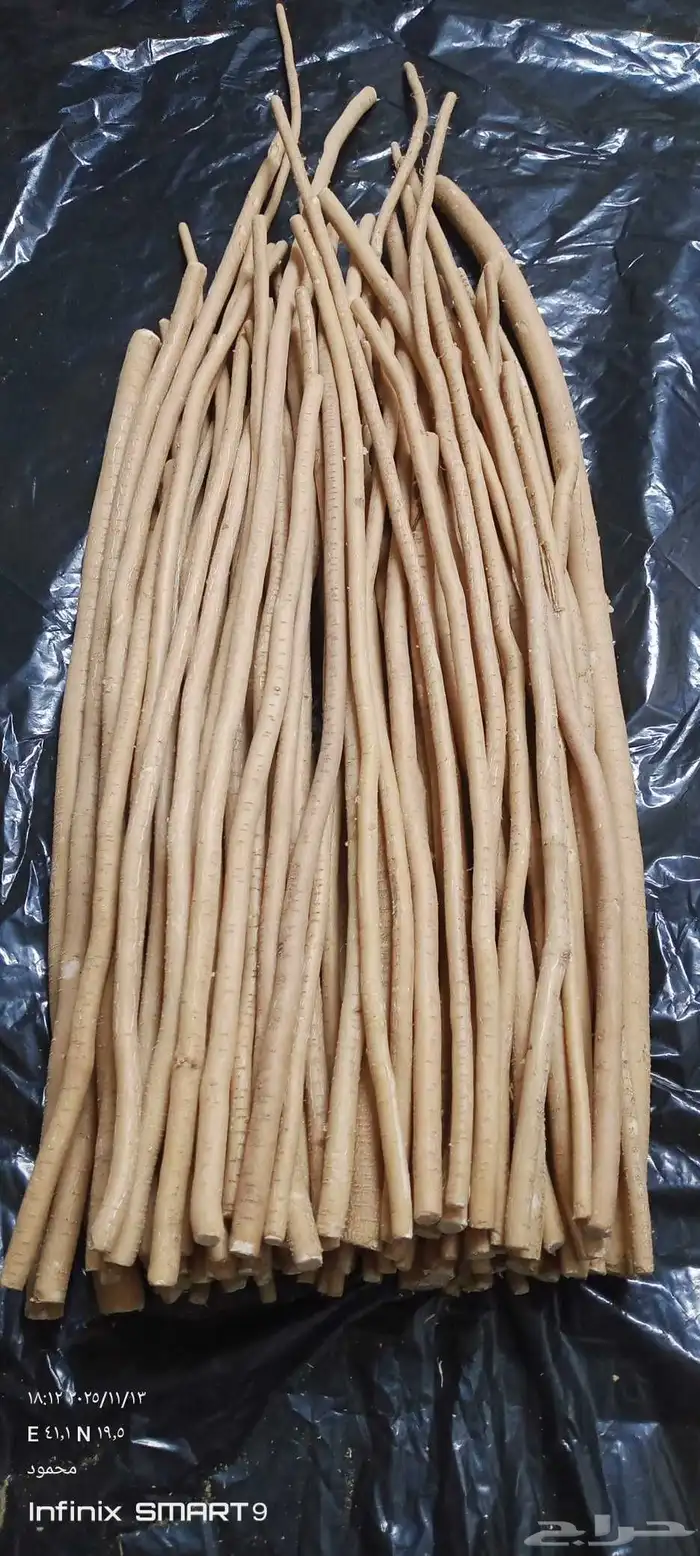 مسواك ابوحنش تجميع جديد 0