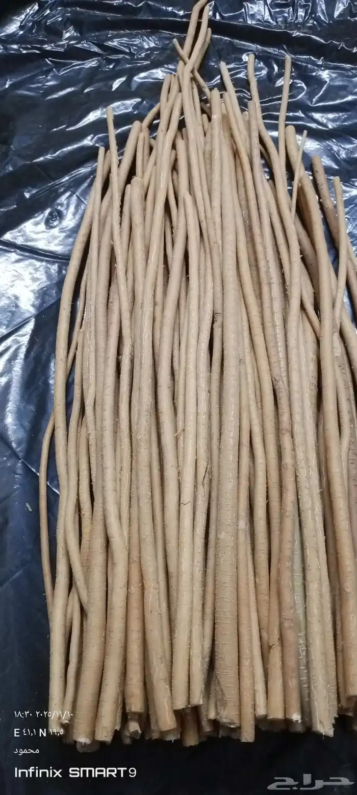 مسواك ابوحنش تجميع جديد 2