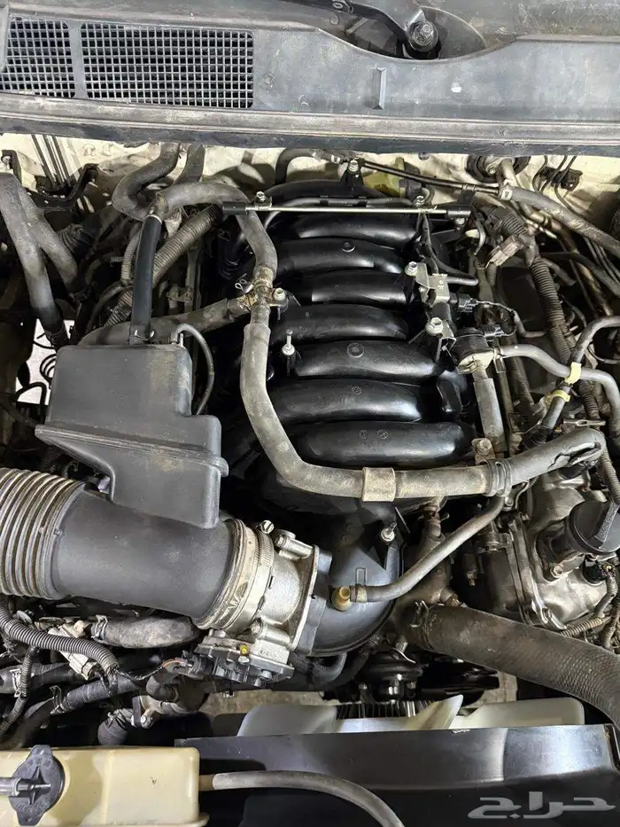 مكينة تندرا سكويا 0