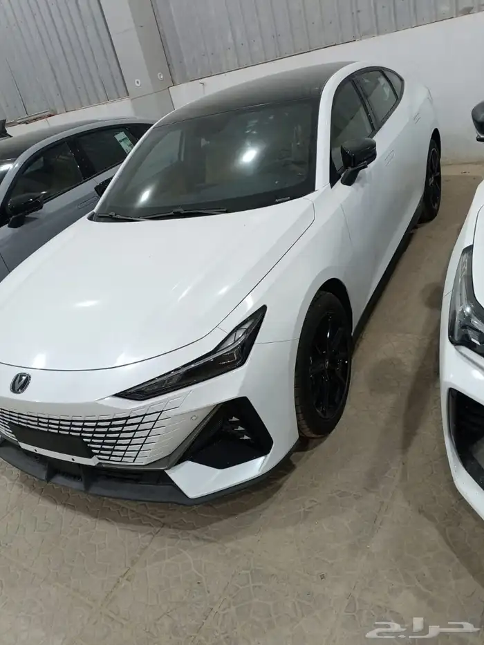 شانجان يونى فى اليت رجعت تانى 2026 وسعر ما يتفوت فعلا 5