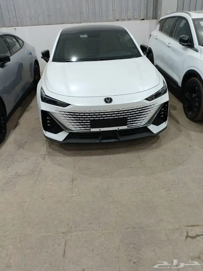 شانجان يونى فى اليت رجعت تانى 2026 وسعر ما يتفوت فعلا 4