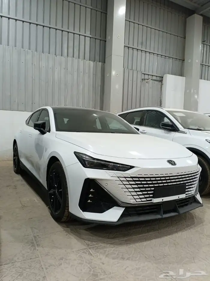 شانجان يونى فى اليت رجعت تانى 2026 وسعر ما يتفوت فعلا 3