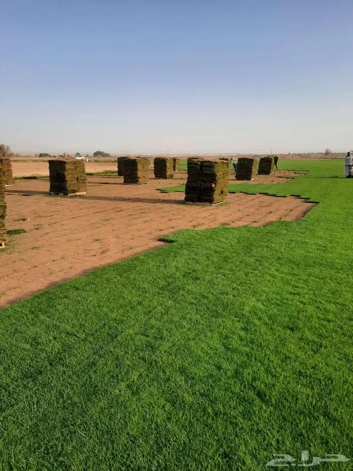 مشاتل الدمام طريق الجبيل 7