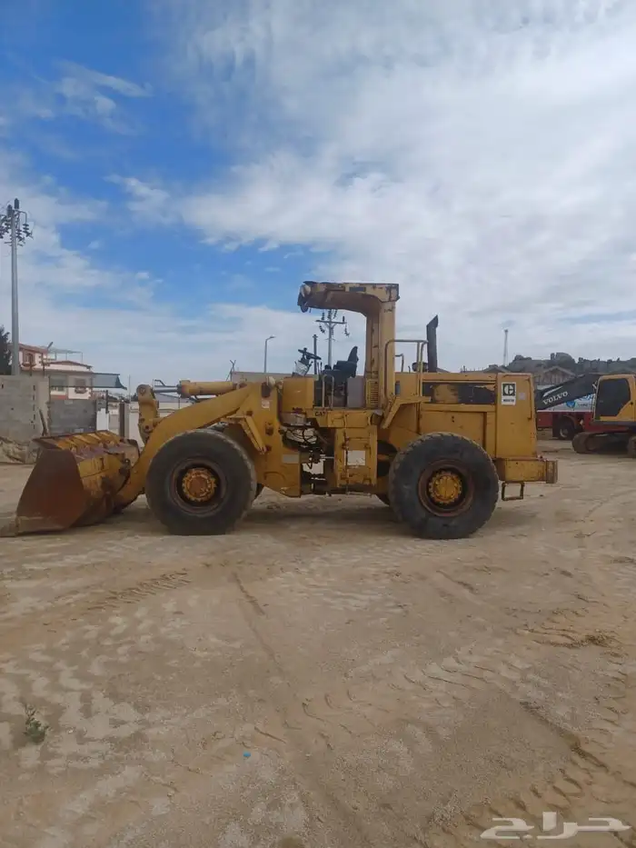 شيول زاهد للبيع 6