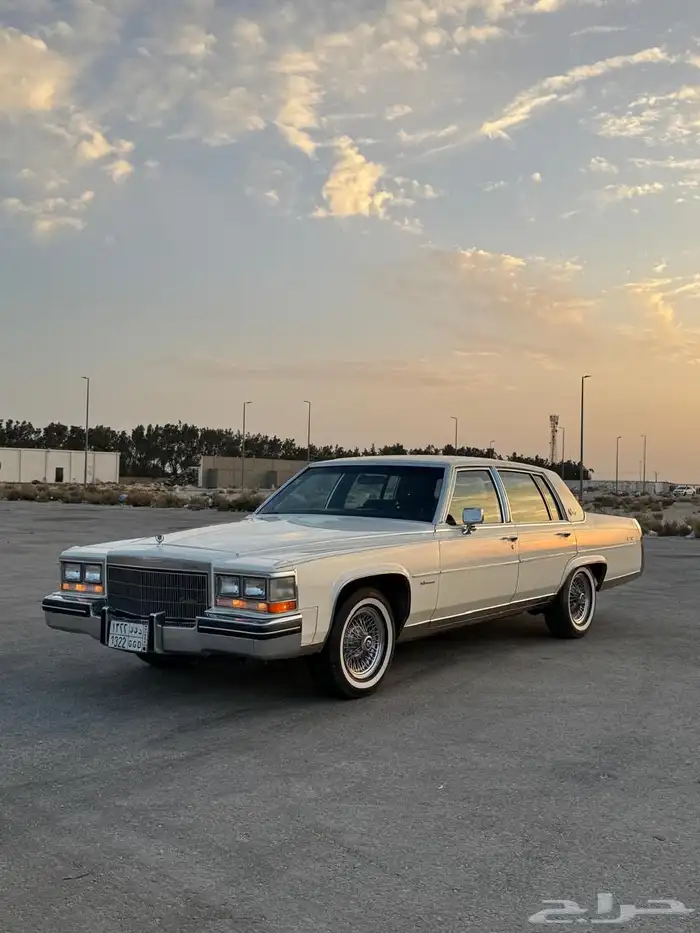 للبيع كدلك بروقهام فليتوويد دي إلنجانس 1981 15