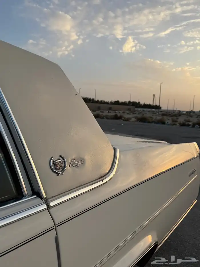 للبيع كدلك بروقهام فليتوويد دي إلنجانس 1981 4