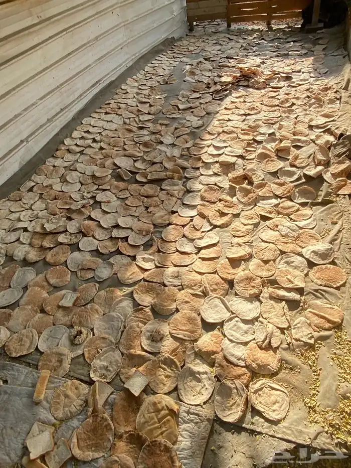 البيع خبز ناشف 0