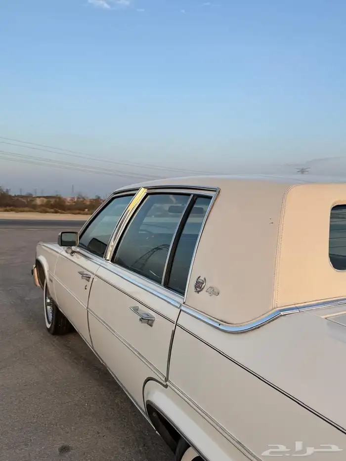 للبيع كدلك بروقهام فليتوويد دي إلنجانس 1981 12