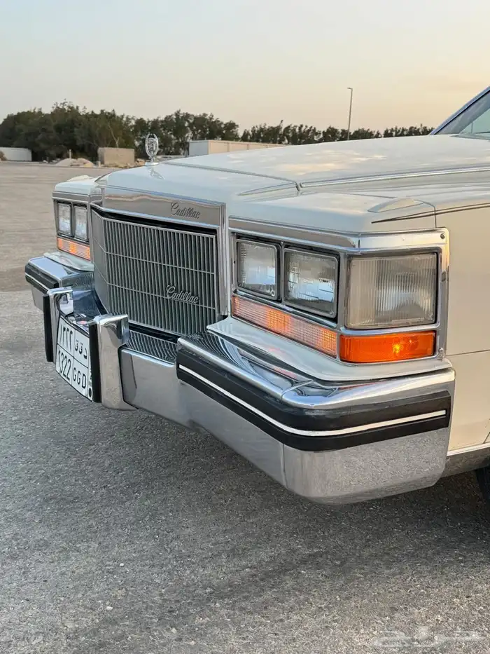 للبيع كدلك بروقهام فليتوويد دي إلنجانس 1981 16