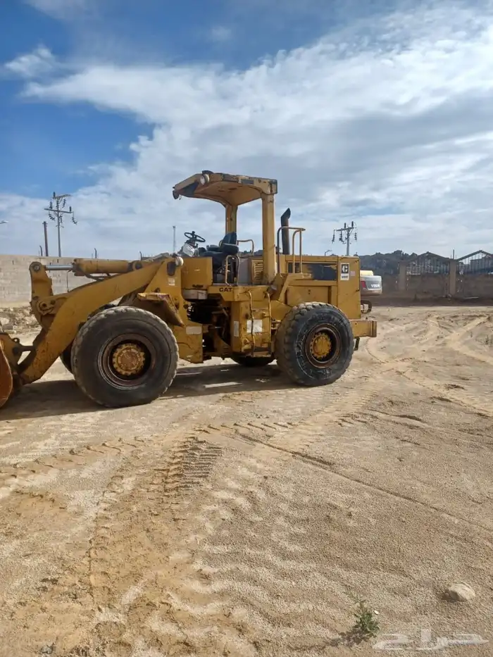 شيول زاهد للبيع 2