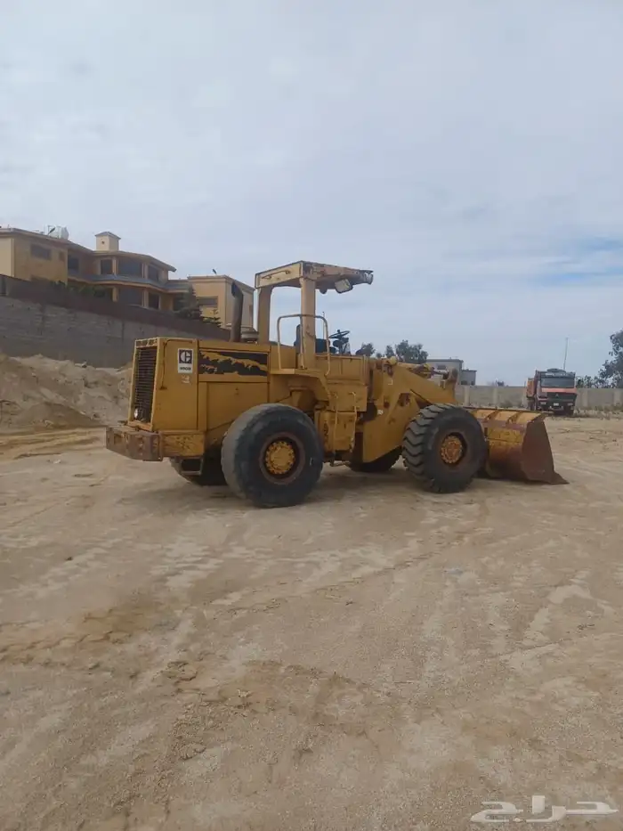 شيول زاهد للبيع 4