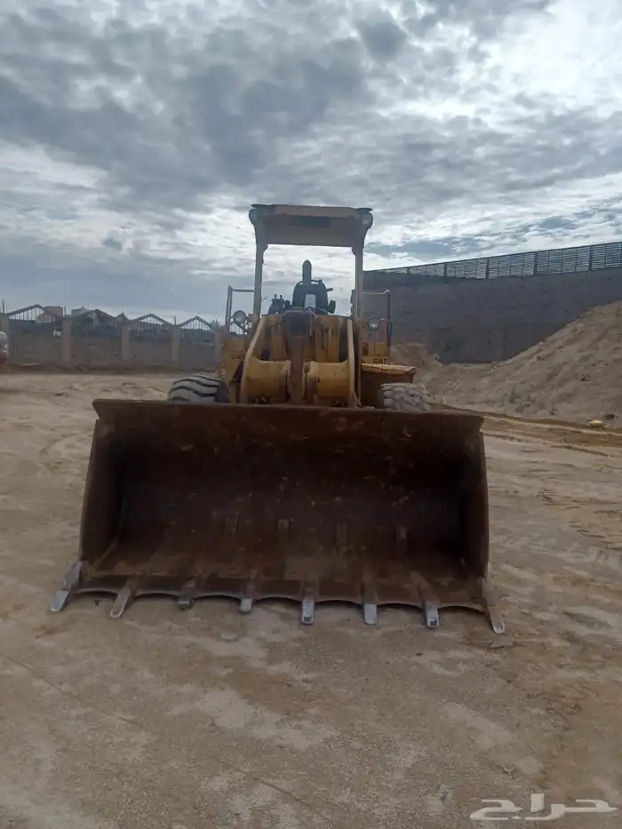 شيول زاهد للبيع 3