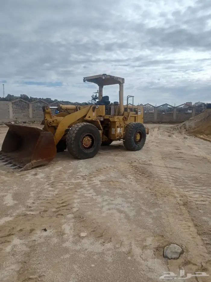 شيول زاهد للبيع 0