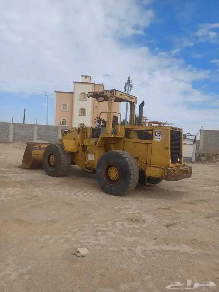 شيول زاهد للبيع 5