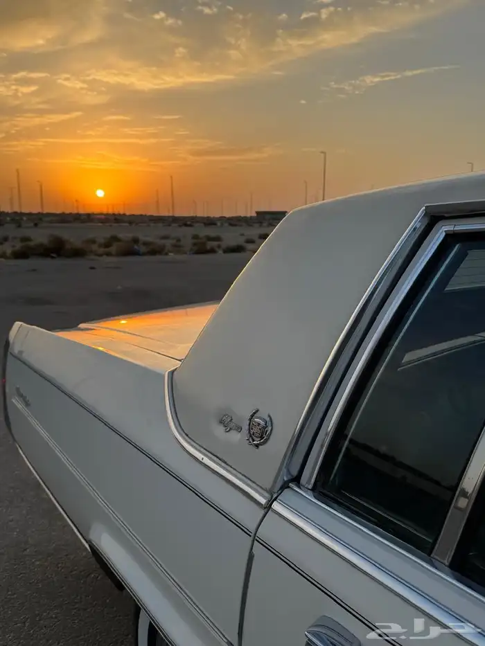 للبيع كدلك بروقهام فليتوويد دي إلنجانس 1981 7