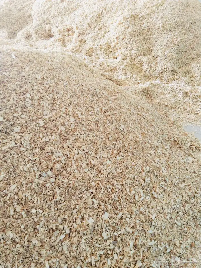 نشارة دواجن عالية الجودة 1