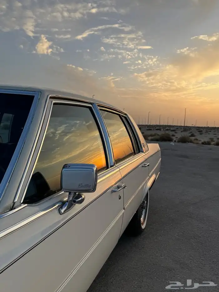 للبيع كدلك بروقهام فليتوويد دي إلنجانس 1981 11