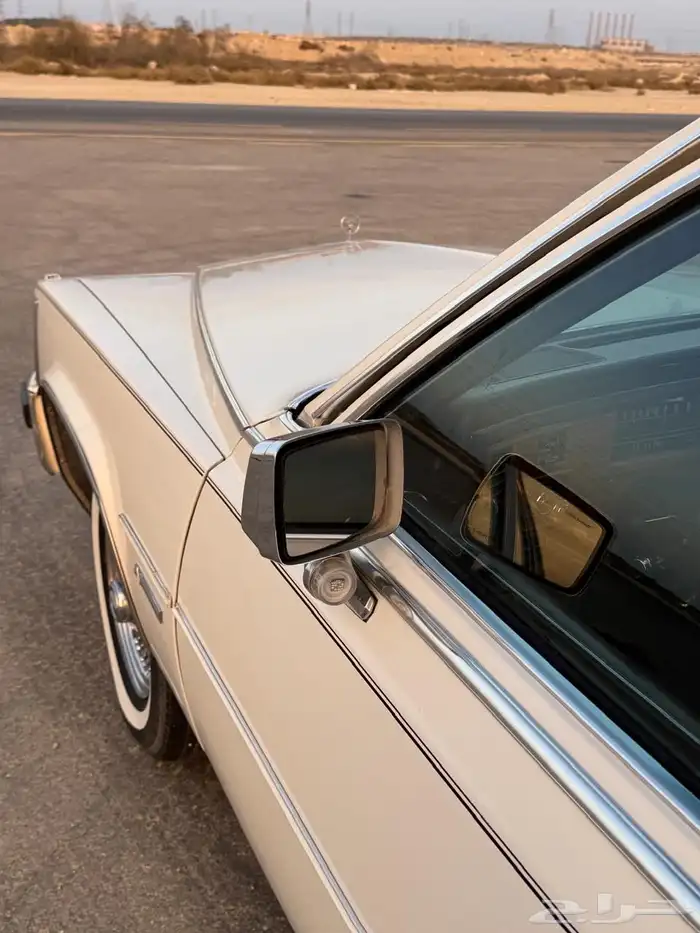 للبيع كدلك بروقهام فليتوويد دي إلنجانس 1981 17