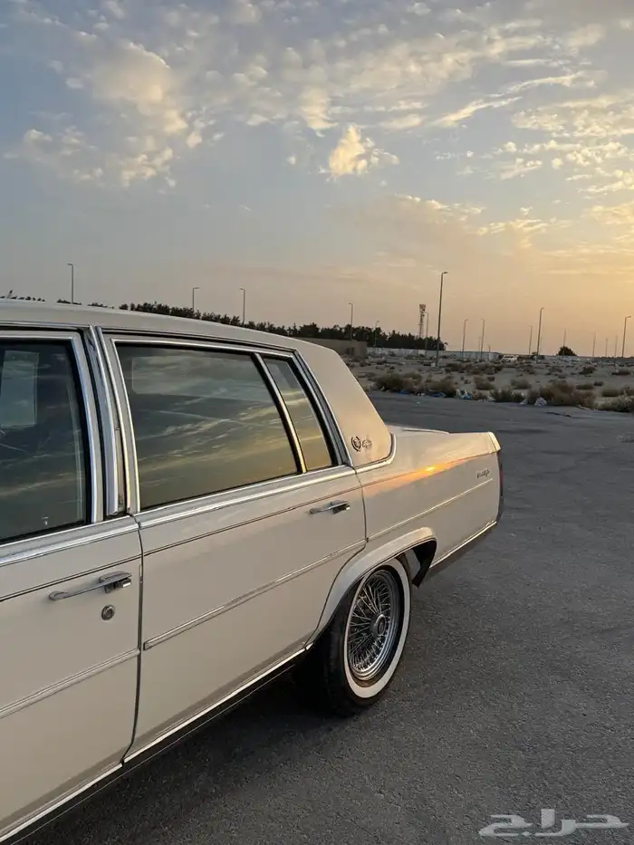 للبيع كدلك بروقهام فليتوويد دي إلنجانس 1981 2