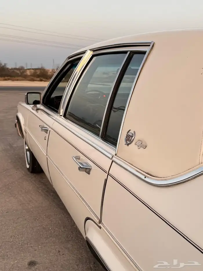 للبيع كدلك بروقهام فليتوويد دي إلنجانس 1981 48